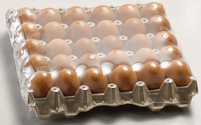 Introduction to the versatility of POF shrink films